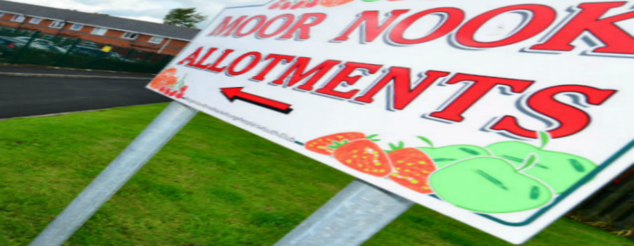Moor Nook Allotments promise a “buzzy” family fun day this Sunday in Sale Moor