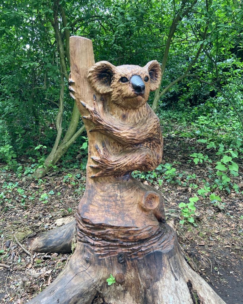 Koala wooden carving statue at Worthington Park, Sale