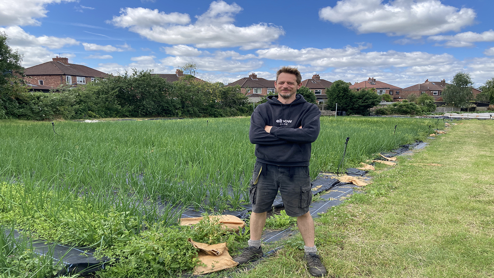 Hidden Sale A look behindthescenes at Glebelands Organic Produce Sale Today